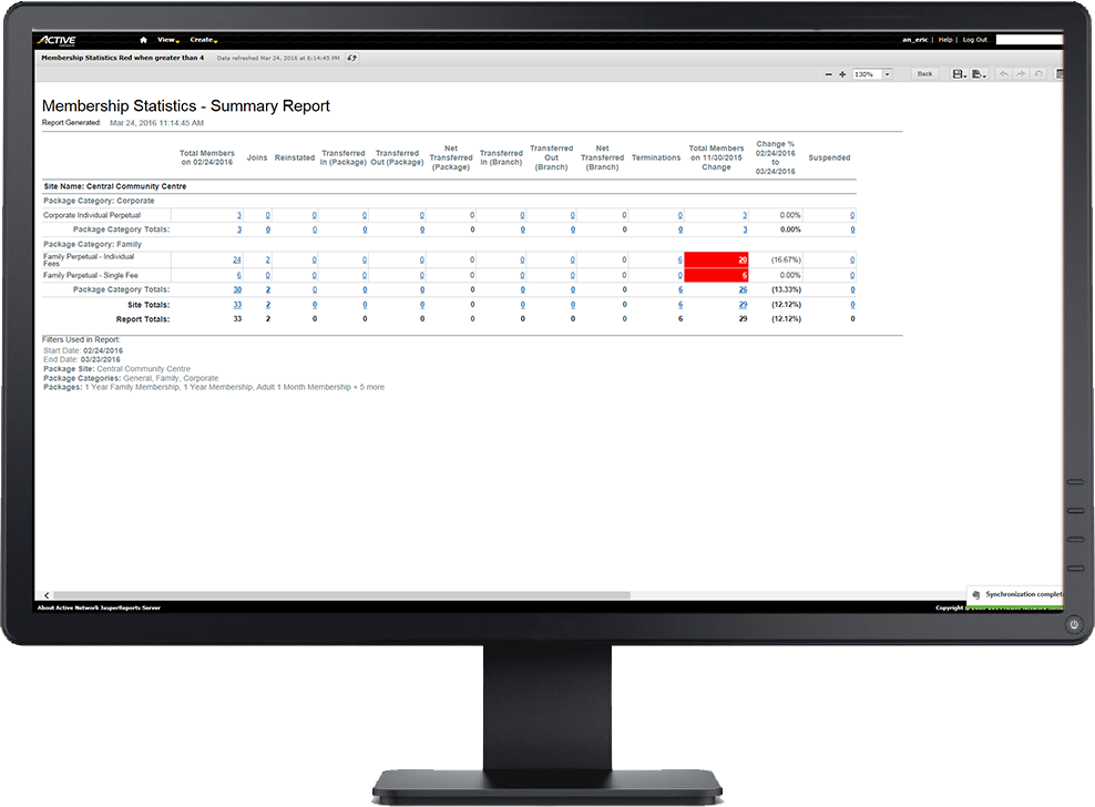 interactive reports