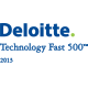 Deloitte 2013 